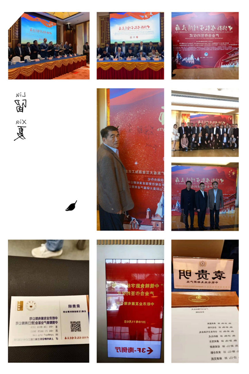 图片 13.png